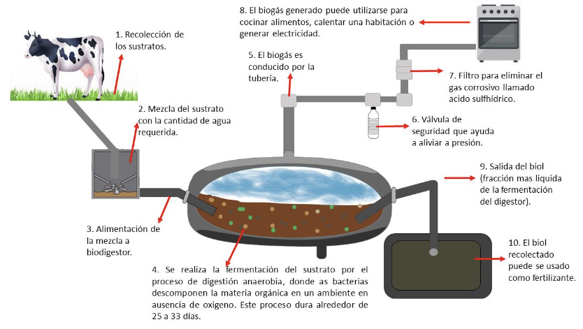 Partes y Componentes de un biodigestor