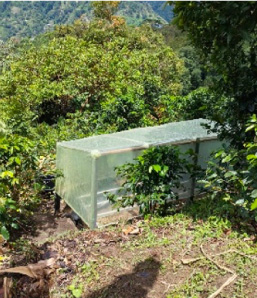 ¿Qué son las biojardineras?