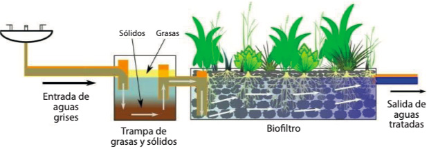 Sistema y objetivo